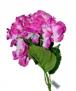 1915f063800a2ffdab5102fb12441fa5