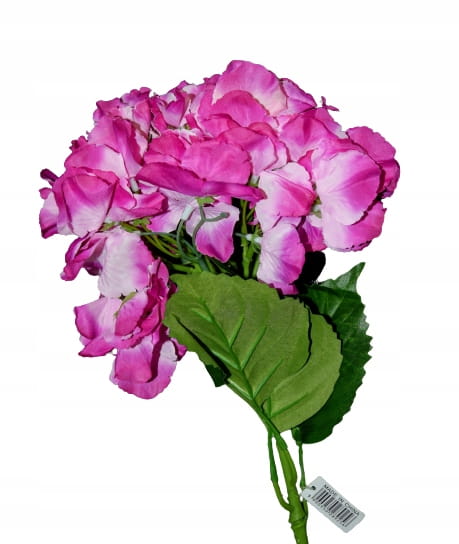 1915f063800a2ffdab5102fb12441fa5