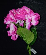 010f814baac3b85cf6bf3407f1fbb087