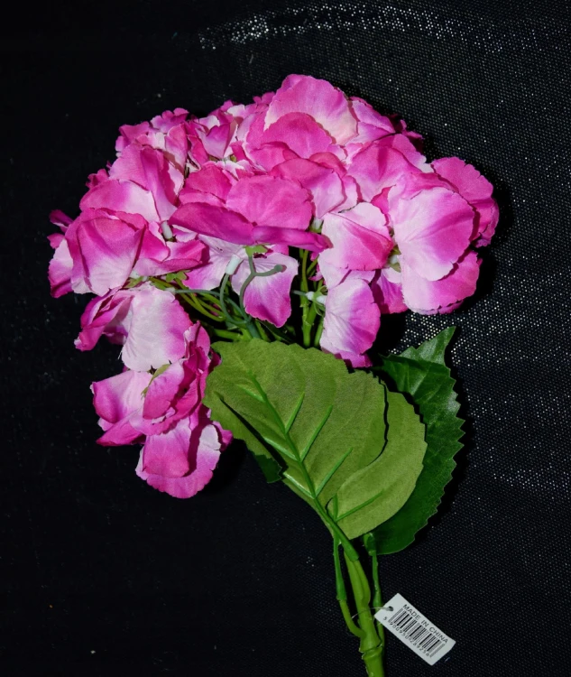 010f814baac3b85cf6bf3407f1fbb087