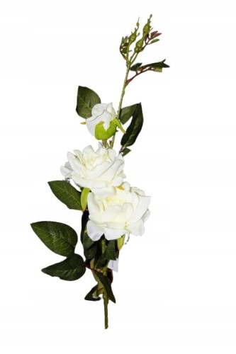 28d6a93aafb5345a58ade8fb9d93d230