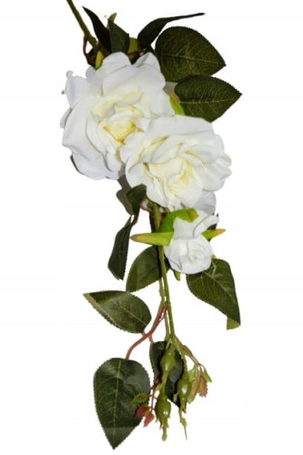 f9a7adfcef0d9f5be676e7653ce38f2e