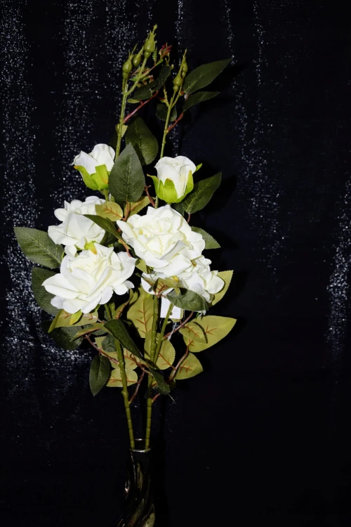 29aa6d7117600c48e83dffe469dba0f9