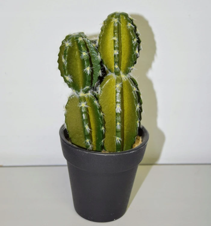 6f6f34106b9b5d9cc09ee4a045414ec9