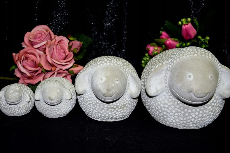 6c7fa79de70c7ef251a81918d6ae45ce