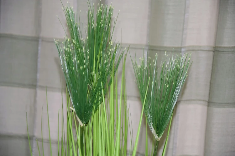 Sztuczna trawa ozdobna papirus 59cm