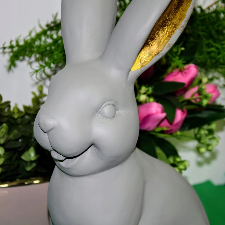 61638cc2726ca06fee398560ca010534