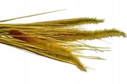 Kwiaty sztuczne - BUKIET TRAWA 67cm 2 wzory