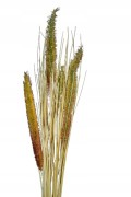 Kwiaty sztuczne - BUKIET TRAWA 67cm 2 wzory