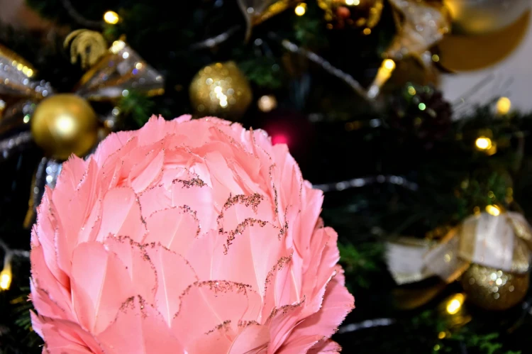 73d72be24f6938797c4eeb4a06bfb43d