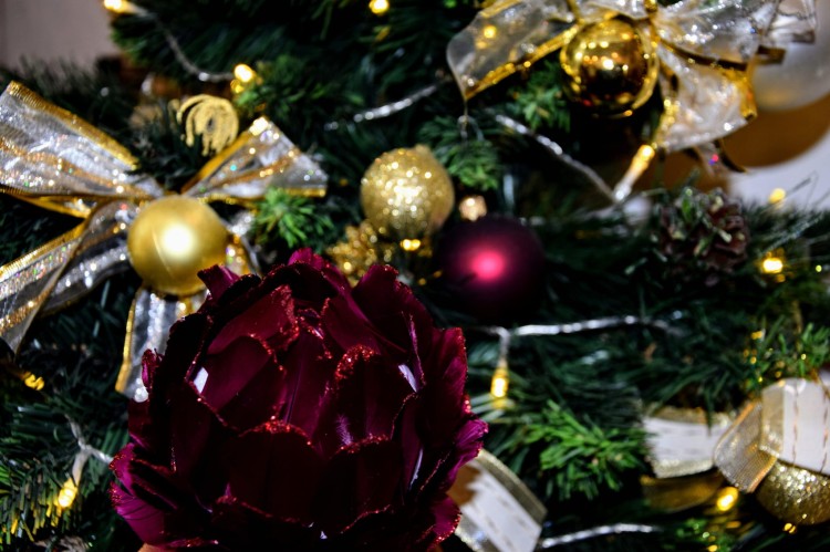 49cda1891591846fae1ad28259175c06