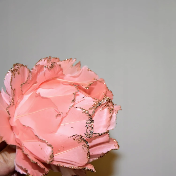 53f0633c0c501d6155c6e17ea6679556