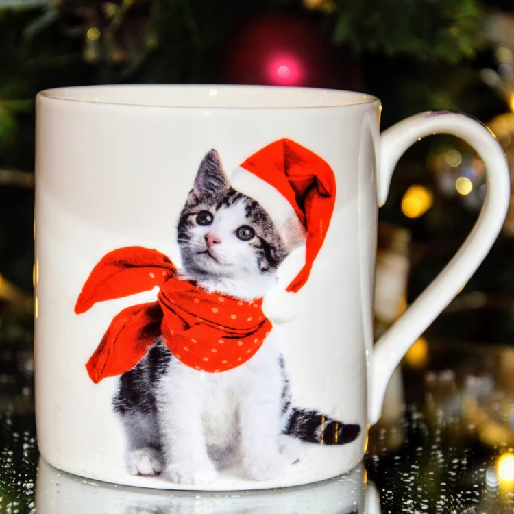 6a5369a4d34469b11dbc54bb61ae5b50