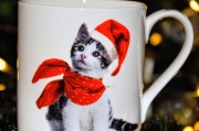 Kubek porcelanowy świąteczne kociaki