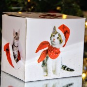 Kubek porcelanowy świąteczne kociaki