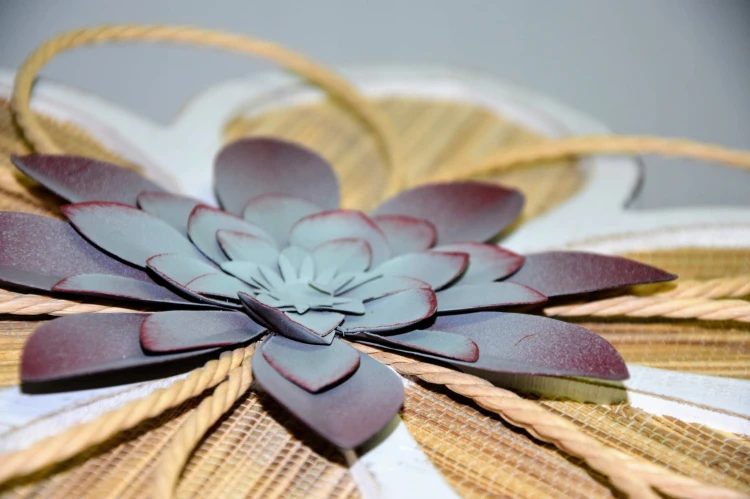 7418291a44b2fb427ad1b8d751c2fc55