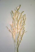 Drzewko led białe średnie 120cm