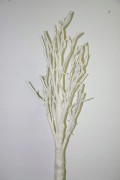 Drzewko led białe średnie 120cm