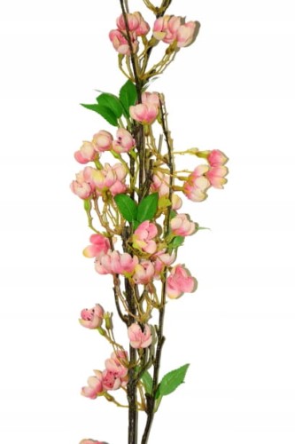 JABŁONKA GAŁĄZKA 127cm