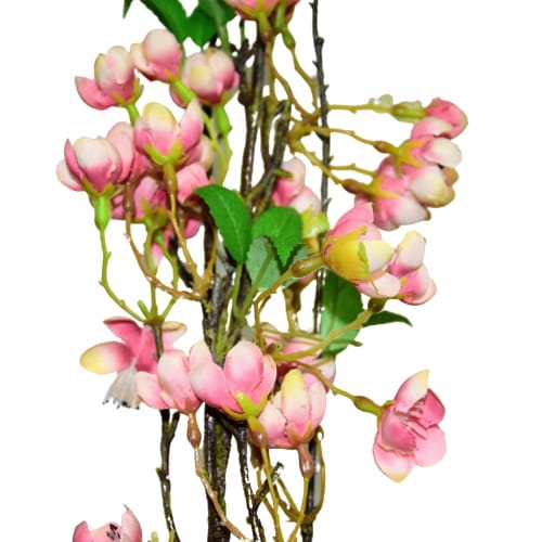 95e4c900e978d7828cc7852da5357496