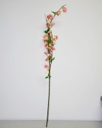JABŁONKA GAŁĄZKA 127cm