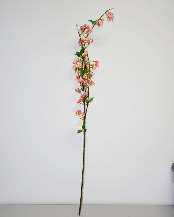 JABŁONKA GAŁĄZKA 127cm
