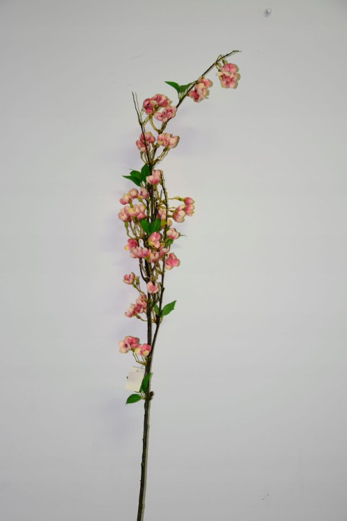 JABŁONKA GAŁĄZKA 127cm