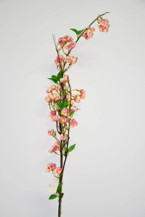 JABŁONKA GAŁĄZKA 127cm