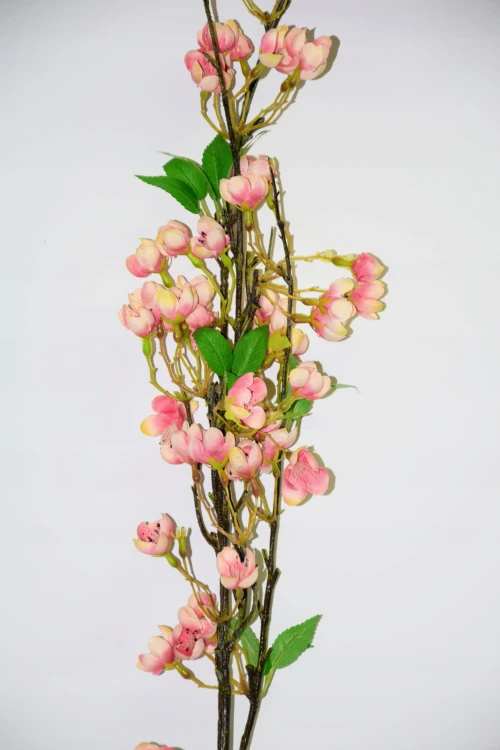 JABŁONKA GAŁĄZKA 127cm