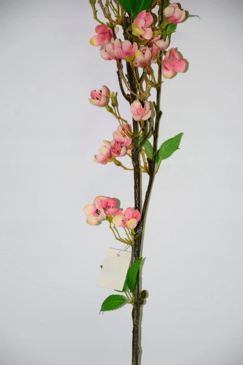 JABŁONKA GAŁĄZKA 127cm
