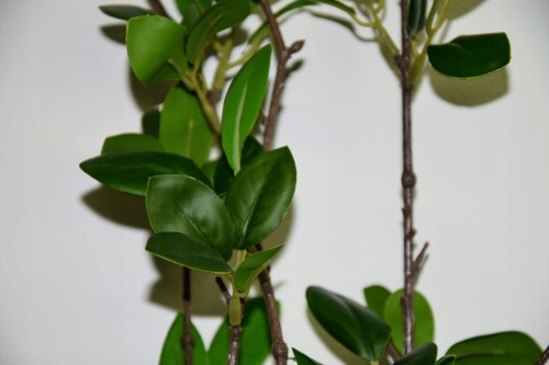 7faf96eb07487a11b16446e0c7edb188