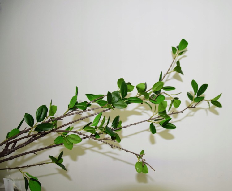 2e2b6a71cc5a77f7bada4581d32d31c7