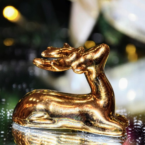 2a4de1b2f2c9bcf7c71a3134fbb1f100