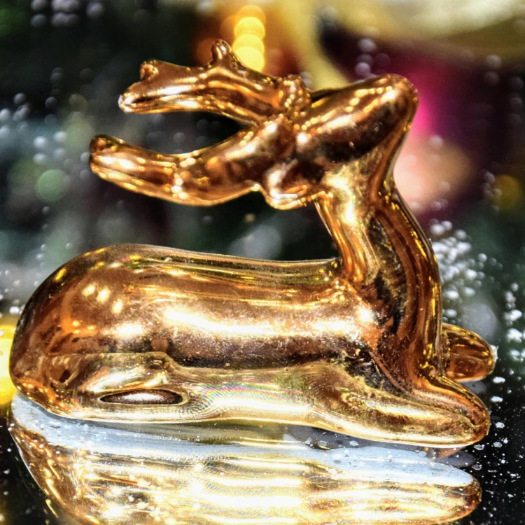 5923b9b010fddaed3ee0cf27217885b6