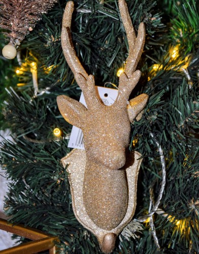 f8207b2f0383769d0c1c570d56d943fd