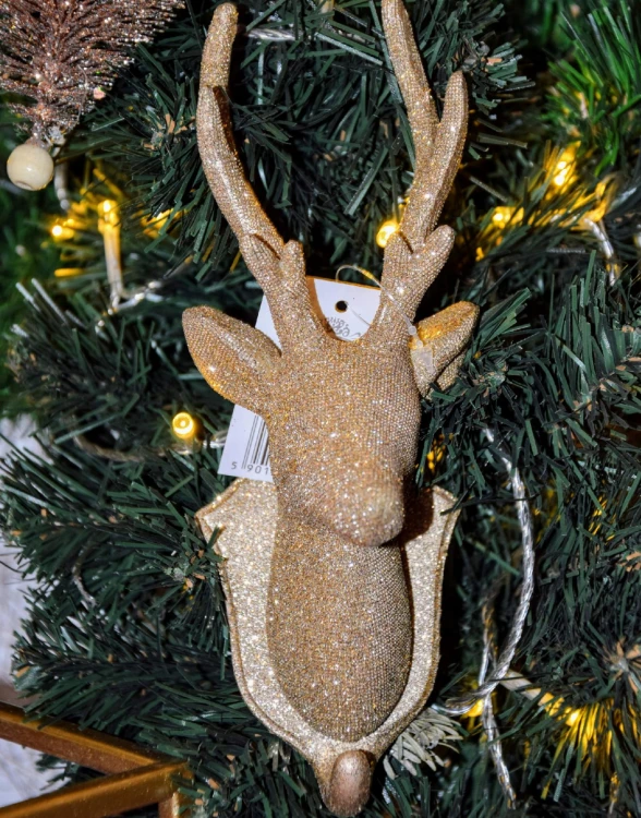 f8207b2f0383769d0c1c570d56d943fd