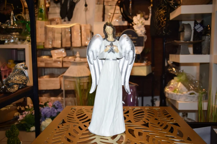 6de0811428a81881762e0f49092582ba