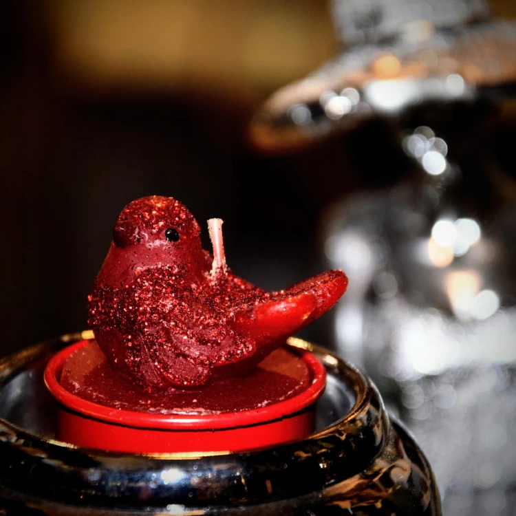 ee89a2f714f88e68a7a9830ce17bde58