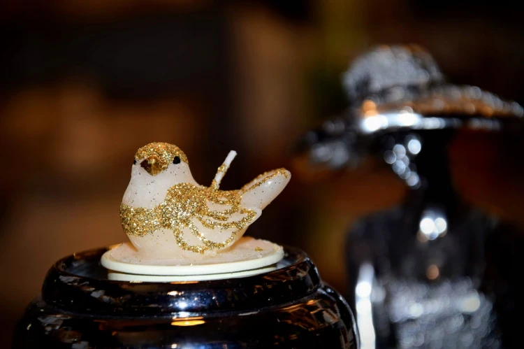 4990b90591835f3c17a91c57401a7244