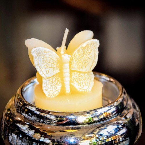 8d4535c16181667a6457a767a2edf480