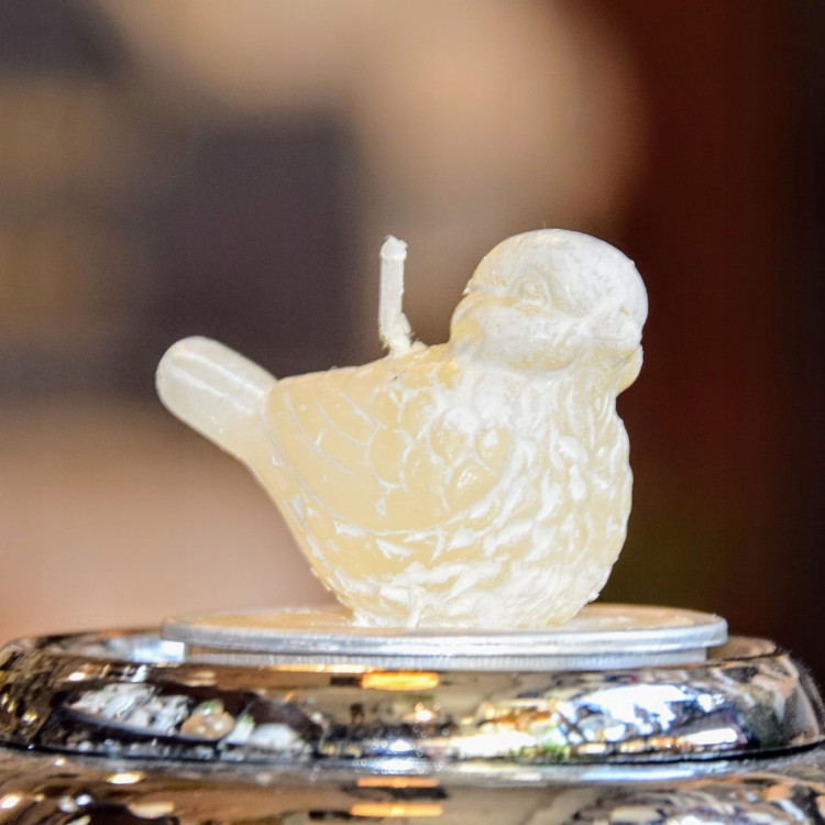 36c3df835e77f95fa9af01318fbd9119