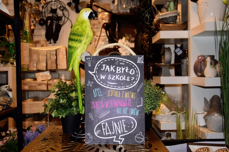 14f99d9e9b6c0a8dea3fd58623eaeedc