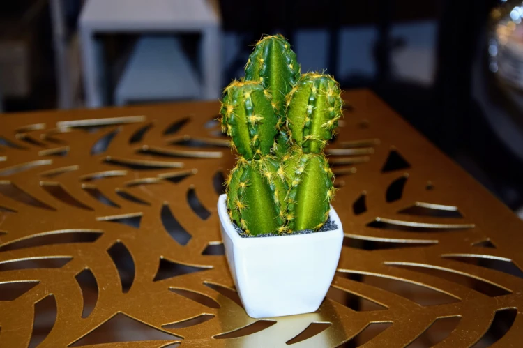 5f37c43414d78e0495a5d8c2c7ff449c