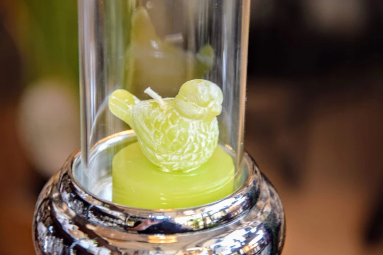 c03d0a6e6d2ee918b2856bed8c7305bc