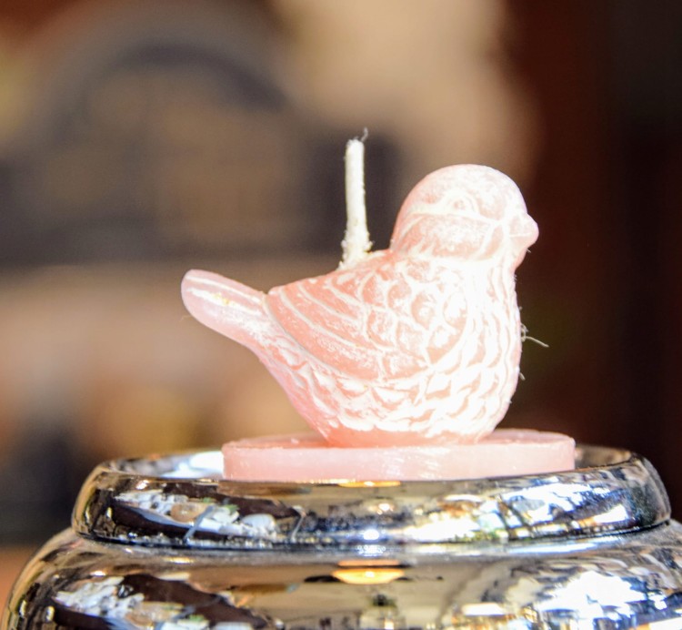 cab60c7956aa0b5a89124eb8d4229330