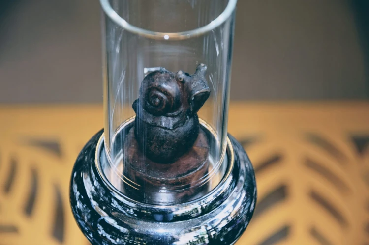 0199fd733b661b04fbe3edf6b64e1731