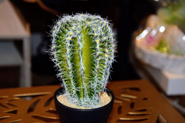 634ce992552d65ef28e1984290d512af