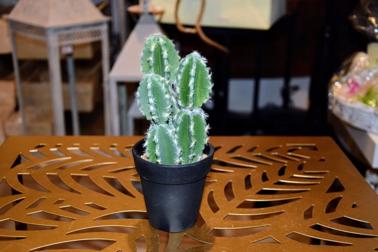 28c6d7c42a4bc4c9e086592bd06cd62d