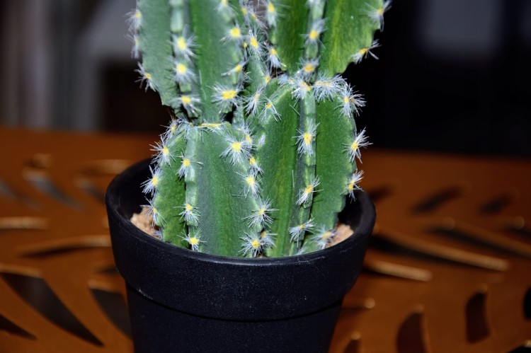 9d794ecb6a10a20e487492a3ce40da2b