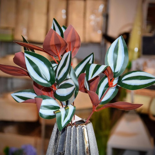 c95e911e148449347141a899232beeac